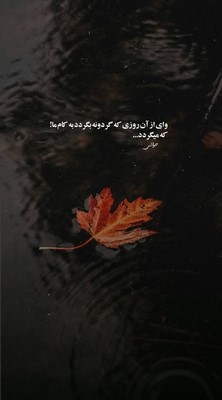 هایده تو رئوفی تو شریفی تو به حرمت سکوتی تو عزیزترین عزیزی
